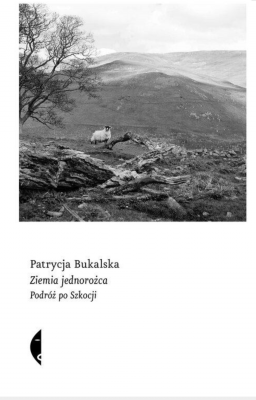 Zrzut ekranu 2025-11-21 152143